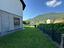 Immagine 7