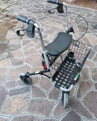 Deambulatore Invacare Banjo P542E /3