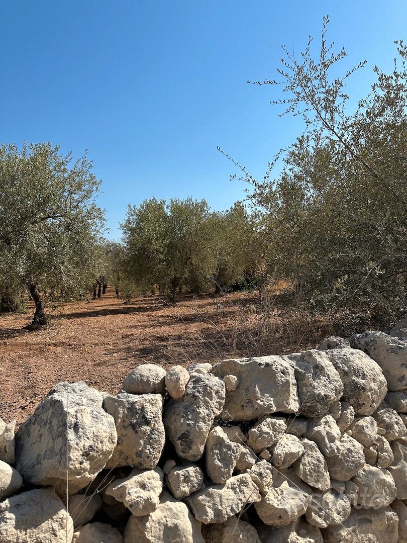 Rudere in Pietra con 35.000 mq di Terreno a Noto - Altro