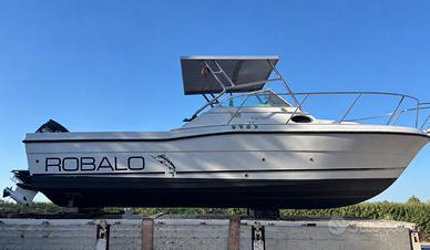 ROBALO 2660 WALKAROUND - American Style Fisherman