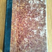 Giovanni Ruffini - Il Dottor Antonio