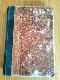 Giovanni Ruffini - Il Dottor Antonio