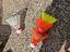Immagine 3