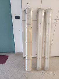 lampade neo