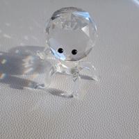 Swarovski  polipo
