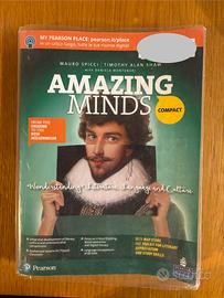 Amazing Minds+Toolkit e Mapstore