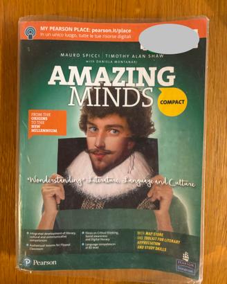 Amazing Minds+Toolkit e Mapstore