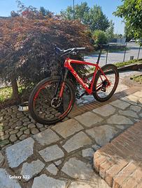 mtb specialized sworks 