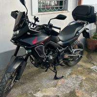 Transalp 750 2024