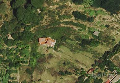 Terreno con casa Salice