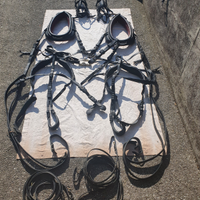 Finimento pariglia con monogrammi