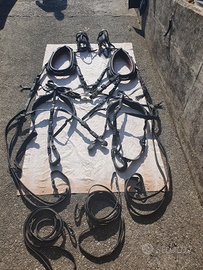 Finimento pariglia con monogrammi