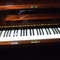 pianoforte petrof