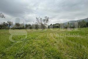 Terreno Residenziale San Potito Sannitico