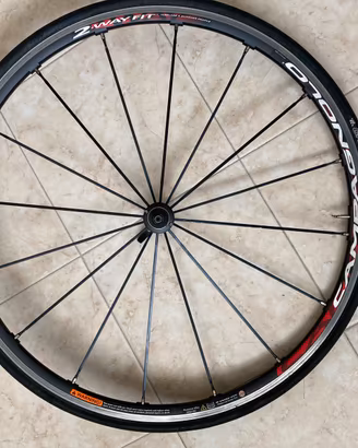 Coppia ruote Campagnolo Eurus