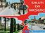 Immagine 14