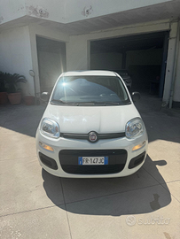 Panda gpl casa madre