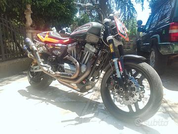 Harley xr
