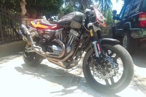 Harley xr