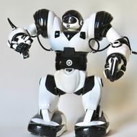 Robot giocattolo