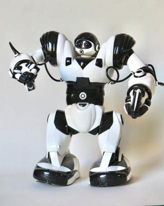 Robot giocattolo