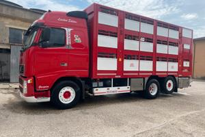 Trasporto bestiame animali vivi