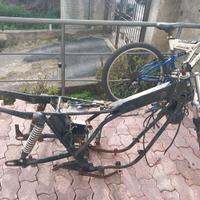 Telaio AMF harlei Davidson sst 250