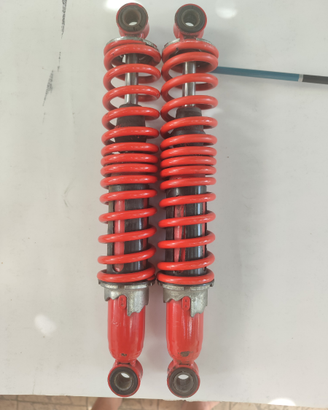 Ammortizzatori Sebac regolabili 34 cm