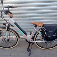 Bici elettrica