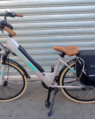Bici elettrica