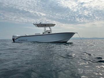 Robalo 260 cc