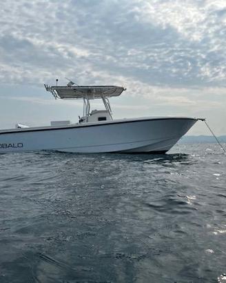 Robalo 260 cc