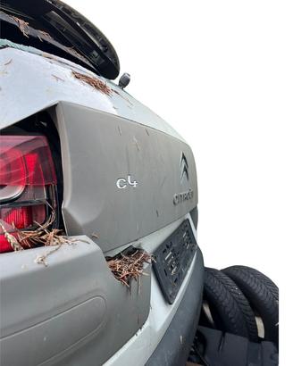 RICAMBI USATI AUTO CITROEN C4 Cactus (14>18) Benzi