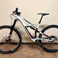 Specialized Enduro Carbon Expert