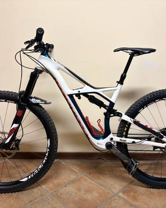 Specialized Enduro Carbon Expert