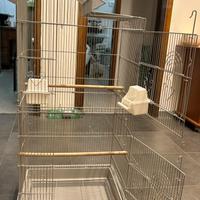 Gabbia per pappaglalli