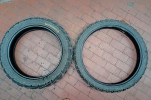 Dunlop trail max raid