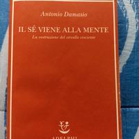 Il sé viene alla mente di Antonio Damasio 