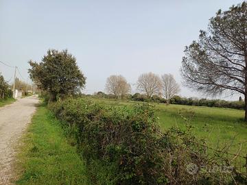 Terreno agricolo 2 ettari via Campo Jemini