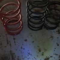 molle minarelli orizzontale