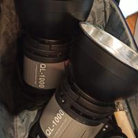 Dynasun QL1000 Illuminatore 1000W x2