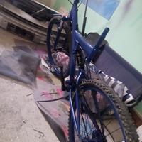 mountain bike