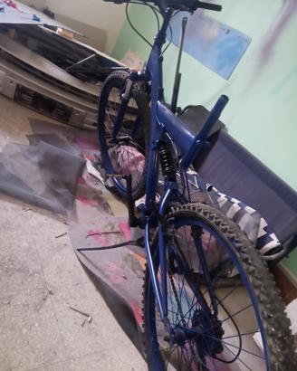 mountain bike
