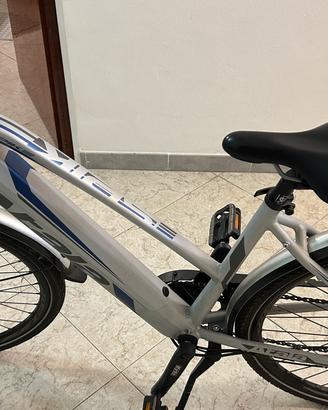 Bicicletta elettrica