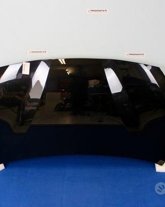 Cofano Sportello Anteriore BMW F45 Serie 2 (7E5)