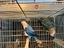 Immagine 2
