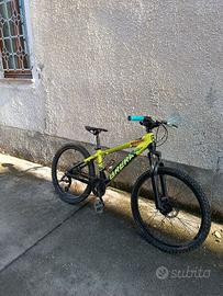 mtb brera koban