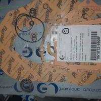 S Cambio guarnizioni auto d'epoca