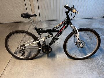 MOUNTAIN BIKE SILVER STAR SLX 450