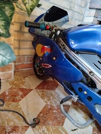 minimoto
